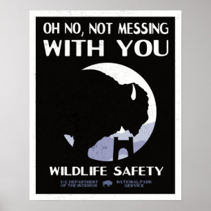Nationaal Park Wildlife Safety Bison Poster