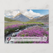 Nationaal Park Wrangell-St. Elias en Preserve Briefkaart (Voorkant)
