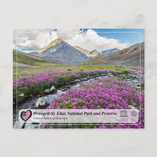 Nationaal Park Wrangell-St. Elias en Preserve Briefkaart (Voorkant)