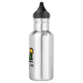 Nationaal park Wrangell-St. Elias Waterfles (Rechts)