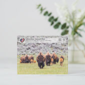 Nationaal Park Yellowstone - Amerikaans gif Briefkaart (Staand voorkant)