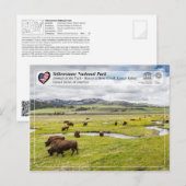 Nationaal Park Yellowstone - Amerikaans gif Briefkaart (Voorkant / Achterkant)