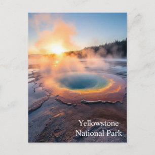 Nationaal Park Yellowstone Briefkaart