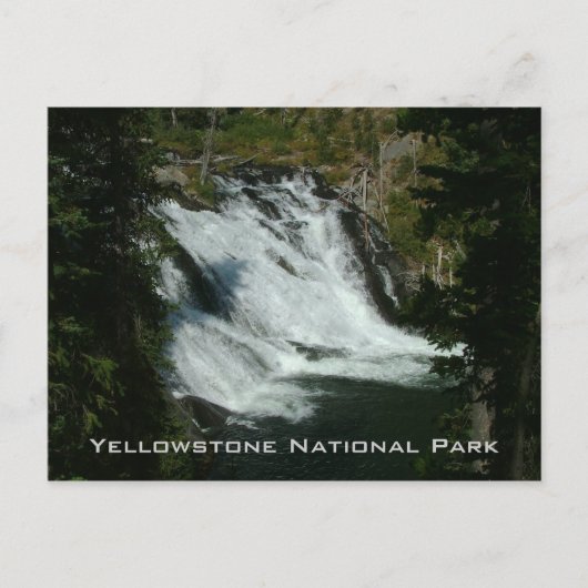 Nationaal Park Yellowstone Briefkaart (Voorkant)