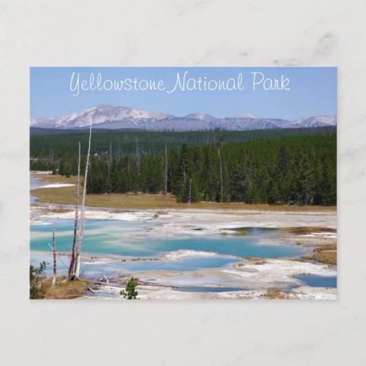Nationaal Park Yellowstone Briefkaart (Voorkant)