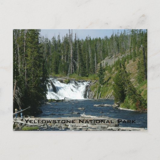 Nationaal Park Yellowstone Briefkaart (Voorkant)