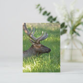 nationaal park yellowstone briefkaart (Staand voorkant)