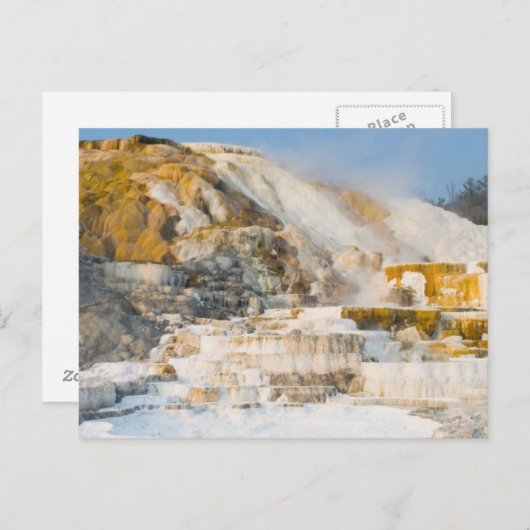 Nationaal Park Yellowstone Briefkaart (Voorkant / Achterkant)