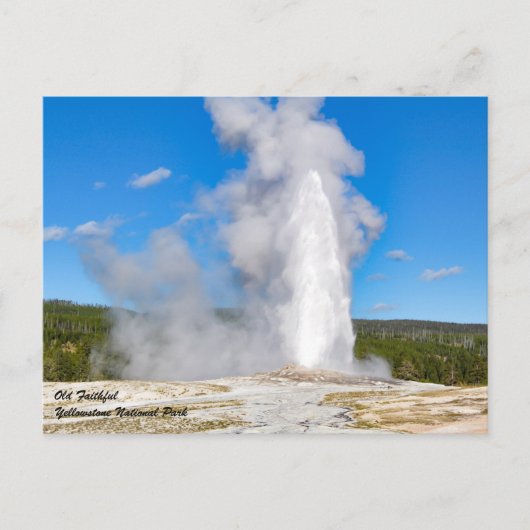 Nationaal Park Yellowstone Briefkaart (Voorkant)