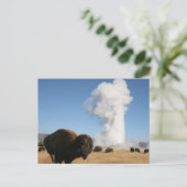 Nationaal Park Yellowstone Briefkaart (Staand voorkant)