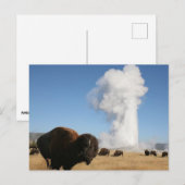 Nationaal Park Yellowstone Briefkaart (Voorkant / Achterkant)