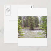 Nationaal Park Yellowstone Briefkaart (Voorkant / Achterkant)
