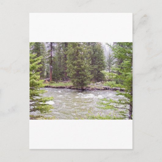Nationaal Park Yellowstone Briefkaart (Voorkant)