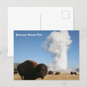 Nationaal Park Yellowstone Briefkaart