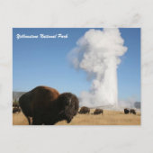 Nationaal Park Yellowstone Briefkaart (Voorkant)