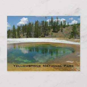 Nationaal Park Yellowstone Briefkaart