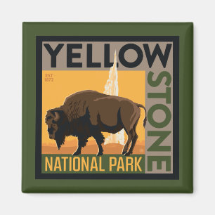 Nationaal park Yellowstone Buffels Magneet
