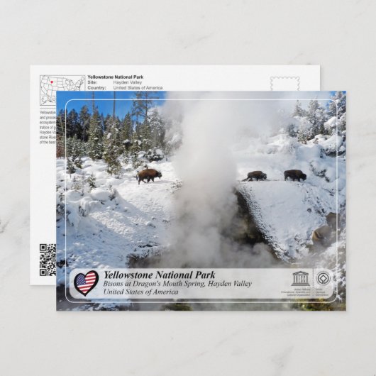Nationaal park Yellowstone - Dragon's Mouth Spring Briefkaart (Voorkant / Achterkant)