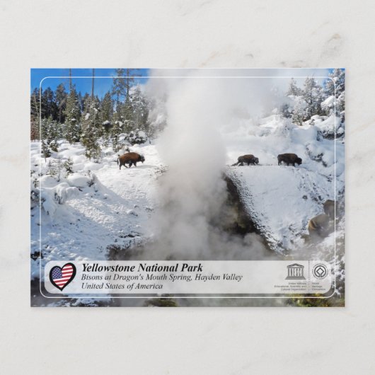 Nationaal park Yellowstone - Dragon's Mouth Spring Briefkaart (Voorkant)