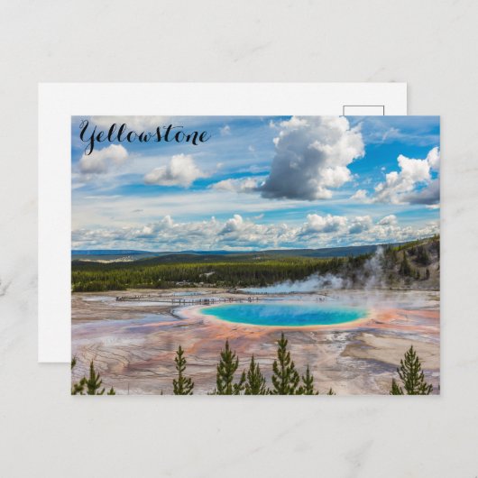 Nationaal park Yellowstone Grand Prismatic Spring Briefkaart (Voorkant / Achterkant)