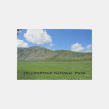 Nationaal park Yellowstone Green Meadow Photo Nati