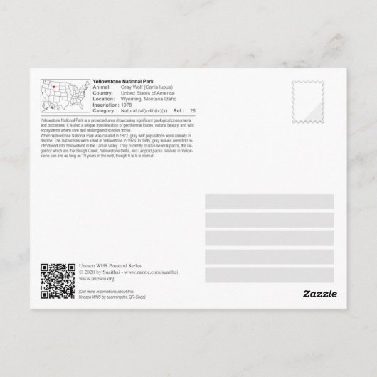 Nationaal park Yellowstone - Grijze Wolf Briefkaart (Achterkant)