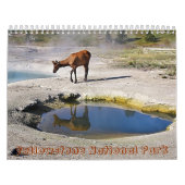 Nationaal Park Yellowstone Kalender (Hoes)