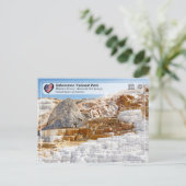 Nationaal park Yellowstone - Minerva Terrace Briefkaart (Staand voorkant)
