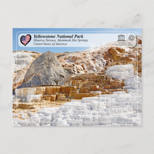Nationaal park Yellowstone - Minerva Terrace Briefkaart (Voorkant)