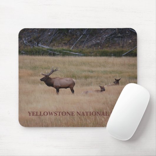 NATIONAAL PARK YELLOWSTONE MUISMAT (Met muis)