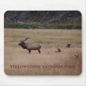 NATIONAAL PARK YELLOWSTONE MUISMAT (Voorkant)