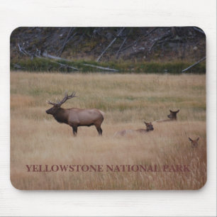 NATIONAAL PARK YELLOWSTONE MUISMAT