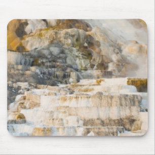 Nationaal Park Yellowstone Muismat