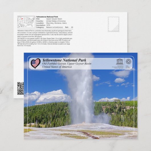 Nationaal Park Yellowstone - oude trouwe Geyser Briefkaart (Voorkant / Achterkant)