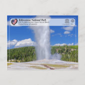 Nationaal Park Yellowstone - oude trouwe Geyser Briefkaart (Voorkant)