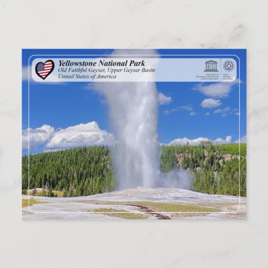 Nationaal Park Yellowstone - oude trouwe Geyser Briefkaart (Voorkant)