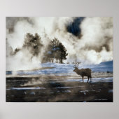 Nationaal Park Yellowstone Poster (Voorkant)
