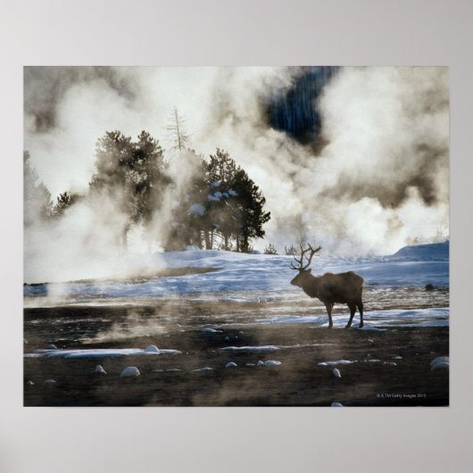 Nationaal Park Yellowstone Poster (Voorkant)