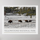 Nationaal Park Yellowstone Poster (Voorkant)