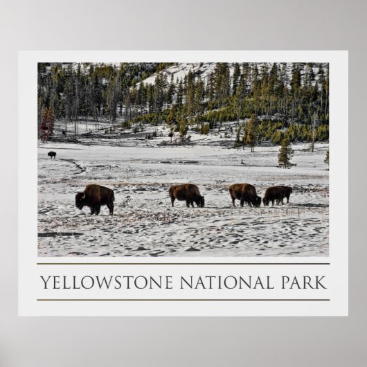 Nationaal Park Yellowstone Poster (Voorkant)
