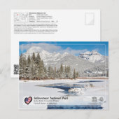 Nationaal Park Yellowstone - Soda Butte Creek Briefkaart (Voorkant / Achterkant)