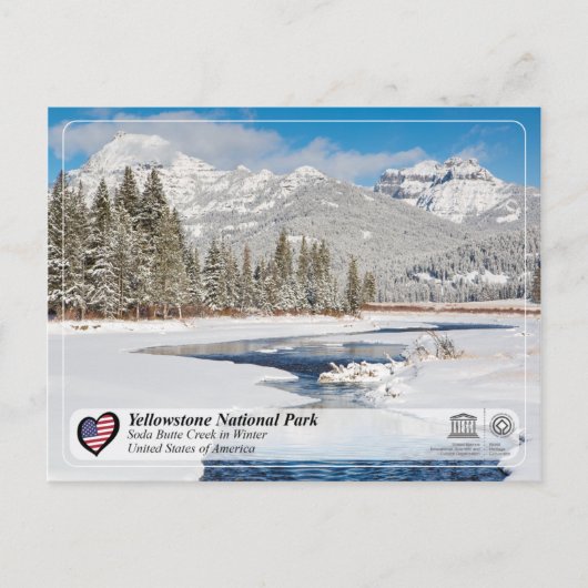 Nationaal Park Yellowstone - Soda Butte Creek Briefkaart (Voorkant)