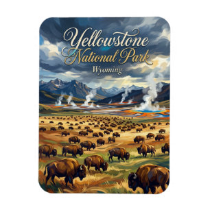 Nationaal Park Yellowstone VS Magneet