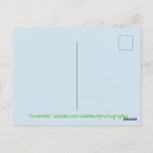 Nationaal park Yosemite Briefkaart (Achterkant)