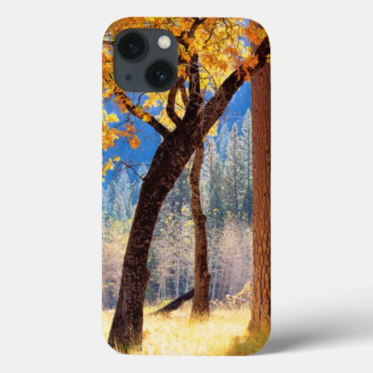 Nationaal park Yosemite Case-Mate iPhone Case (Achterkant)