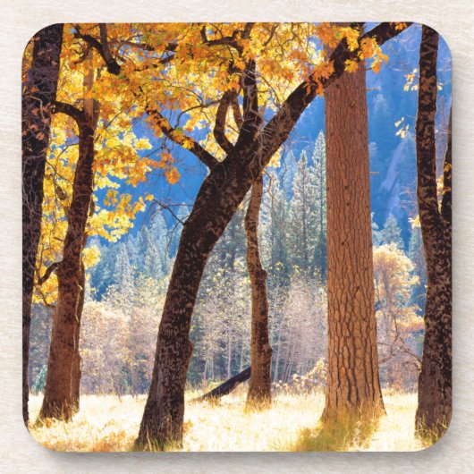 Nationaal park Yosemite Drankjes Onderzetter (Voorkant)