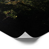 Nationaal park Yosemite, El Capitan Poster (Hoek)