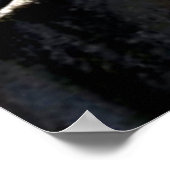 Nationaal park Yosemite Poster (Hoek)