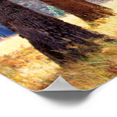 Nationaal park Yosemite Poster (Hoek)