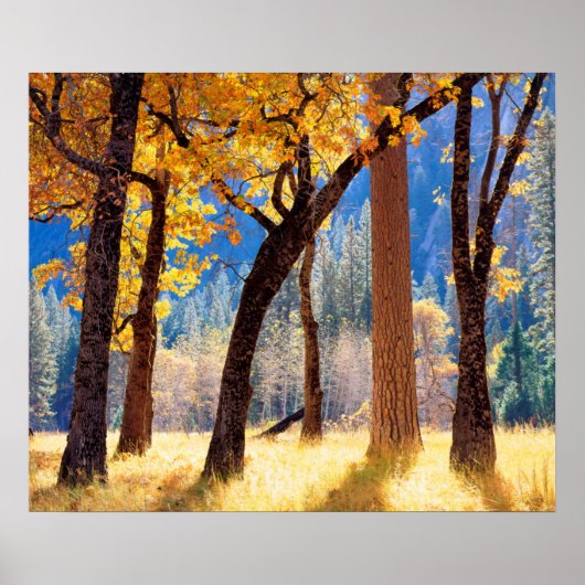 Nationaal park Yosemite Poster (Voorkant)